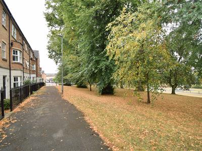 Picture 23
